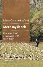 Meze myšlenek