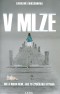 V mlze