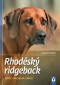 Rhodéský ridgeback