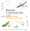 Boeing v pavoučí síti