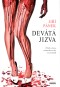 Devátá jizva