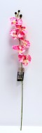 Orchidej 78 cm