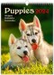 Puppies - Štěňátka 2024 - nástěnný kalendář 24x33