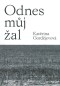 Odnes můj žal