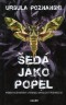 Šedá jako popel Vanitas 2