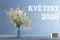 Květiny 2026 stolní