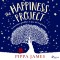 The Happiness Project (EN)