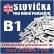 Angličtina - slovíčka pro mírně pokročilé B1