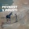 Pevnost v poušti