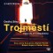 Trojměstí