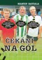 Čekání na gól