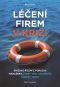 Léčení firem v krizi