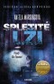 Případy Kim Stoneové 14: Spletité lži